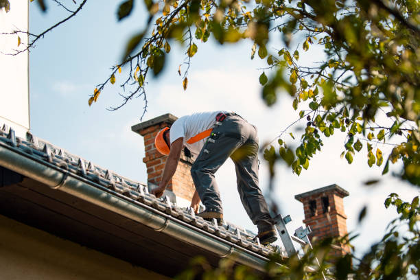 Best Roof Gutter Cleaning  in Ossian, IN